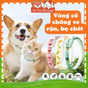 Vòng Cổ Mèo Chống Bọ Chét & Ve